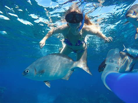 Cozumel Snorkeling Tour and El Cielo | Best Tours in Cozumel