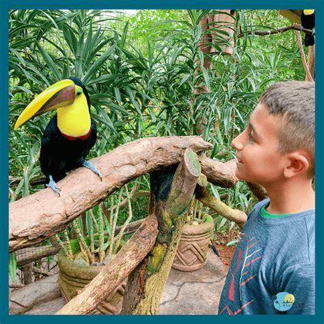 6 Fun Things To Do in Costa Rica with Kids - NYC Travel Mommy