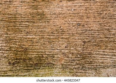 Abstract Rugged Concrete Floor Texture Stock Photo 445823347 | Shutterstock