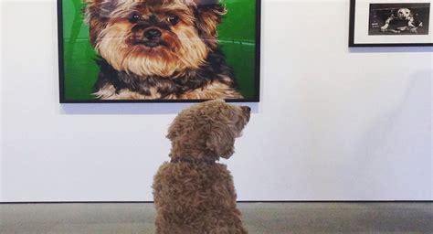 Experience An Art Exhibition Featuring Portraits of Dogs, With Your Dog