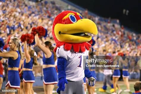 2,593 Kansas Mascot Stock Photos, High-Res Pictures, and Images - Getty ...