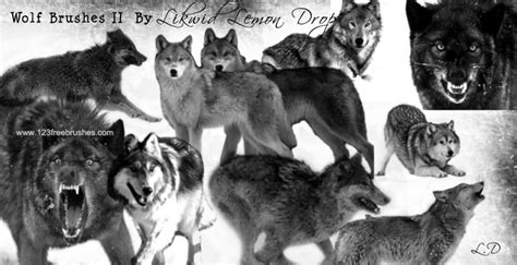 Wolf | Photoshop 5 Brushes | 123Freebrushes