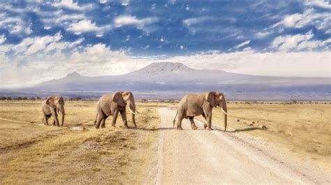 Amboseli National Park: The Complete Guide