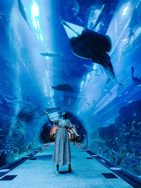 Visiting the Dubai Aquarium: Tickets & Tips [2024]