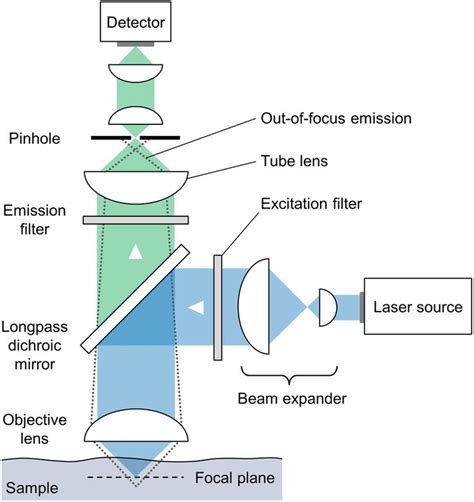 11: Schematic depiction of a typical confocal microscope. | Download Scientific Diagram ...