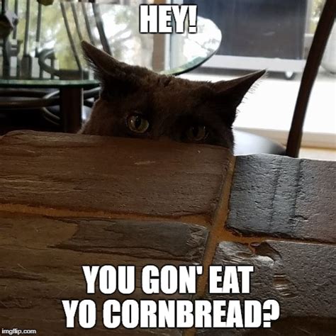 cornbread Memes & GIFs - Imgflip