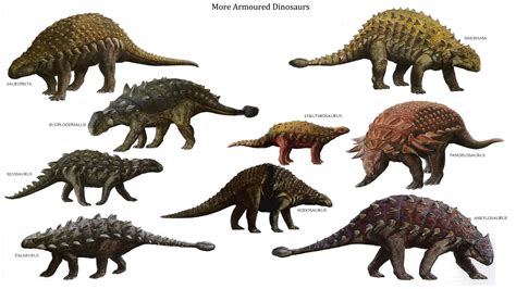 Names Chart Types Of Dinosaurs