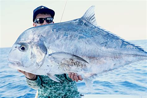 The African Pompano is An Awesome Fighter and Great Table Fare Too ...