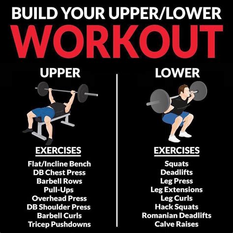 If you're looking for upper/lower body workout here is the exercise for ...