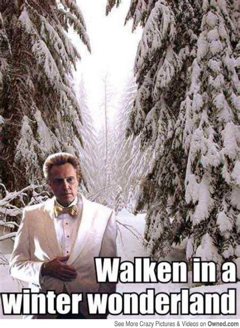 Christopher Walken Cowbell Meme Needs more cowbell. | Christmas humor ...