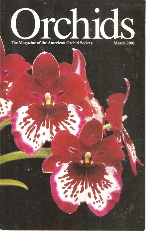 Orchids March 2001 (The Magazine of the American Orchid Society ...