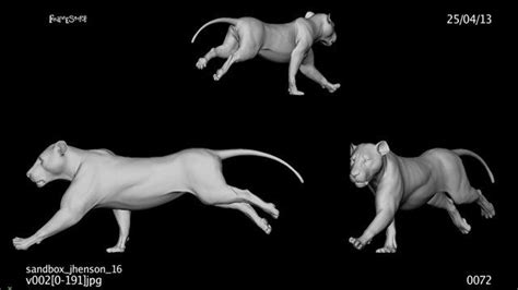 Lion Run Cycle (Aslan) WORK IN PROGRESS | Animated animals, Walk cycle animation, Animation