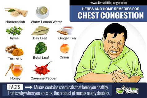 12 Natural Home Remedies For Chest Congestion Relief