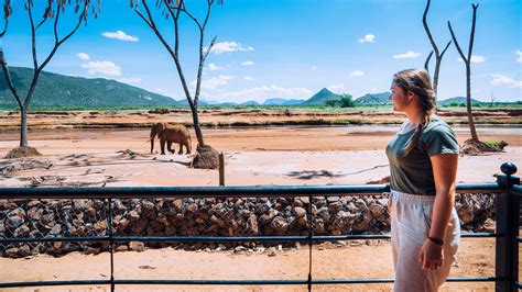 Ashnil Samburu Camp, Kenya - Perfect Safari Staycation - Shipped Away