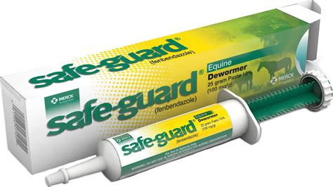 SAFE-GUARD Equine Paste Horse Dewormer, 25-gm 10%, 1 count - Chewy.com