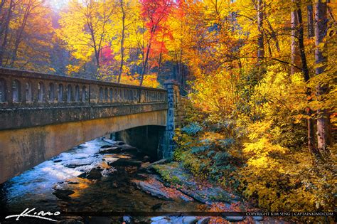 Fall Colors Brevard North Carolina Blue Ridge Mountain