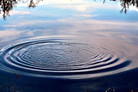 Related image | Ripple, Pond, Image