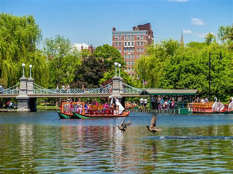 boston public garden (2) - Living + Nomads – Travel tips, Guides, News & Information!