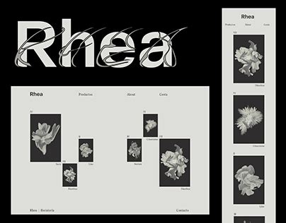 Rhea Projects | Photos, videos, logos, illustrations and branding on ...