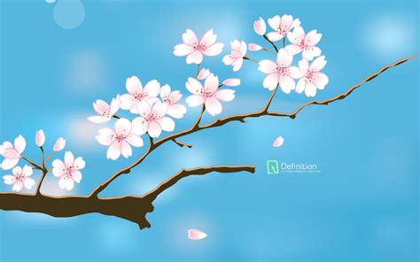 Beautiful Flower Wallpapers For Desktop Animated | Best Flower Site