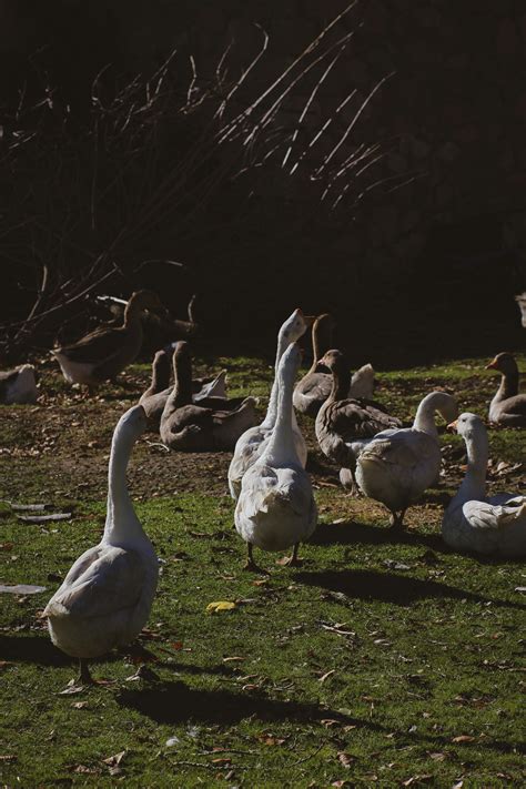 Wisconsin Farm Photos, Download The BEST Free Wisconsin Farm Stock Photos & HD Images