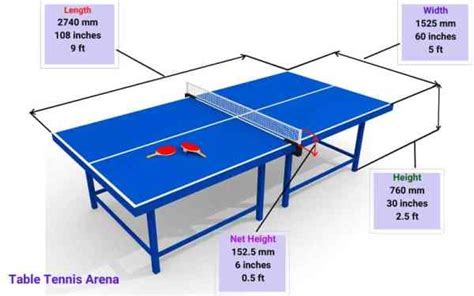 Ping Pong Table Size & Dimensions: What You Need to Know - TABLE TENNIS ARENA