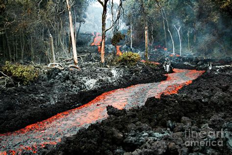 Lava Flow Due To Kilauea Eruption Photograph by Us Geological Survey/science Photo Library ...