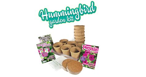 Hummingbird Garden Kit - - Fat Brain Toys