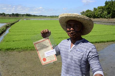 Farmers receive land titles, support services from DAR | News ...