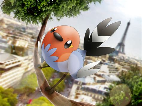 28 Fascinating And Interesting Facts About Fletchling From Pokemon ...