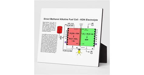 Direct Methanol Alkaline Fuel Cell Diagram Plaque | Zazzle