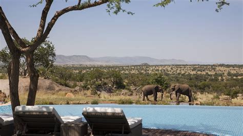 Serengeti, Tanzania Safari Lodge | Four Seasons Safari Lodge