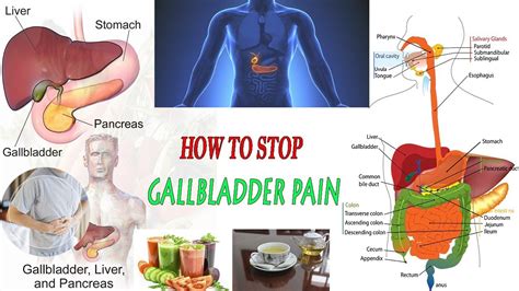 How to Prevent Gallbladder Problems | How To Stop Gallbladder Pain ...