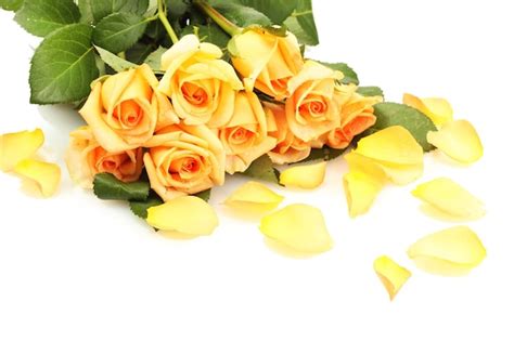 Premium Photo | Beautiful bouquet of roses and petals isolated on white