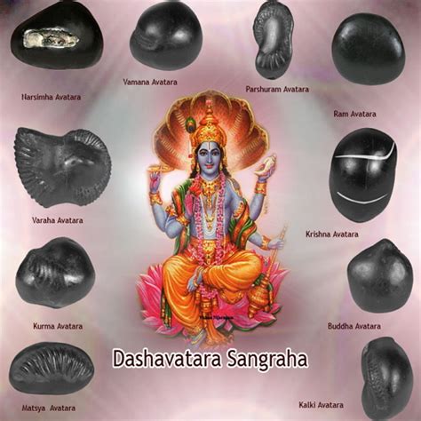 Salagrama Shaligram Fossilized Shell, Iconic Symbol of the God Vishnu ...