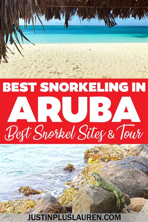 Here's where you'll find the best snorkeling in Aruba. Some of the best ...