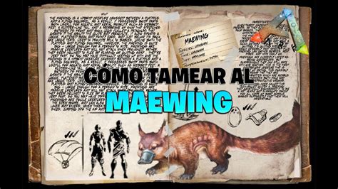 Cómo tamear al Maewing | BlackWolf - YouTube