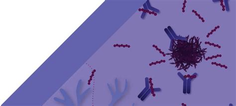 Mechanism of Action | LEQEMBI® (lecanemab-irmb)