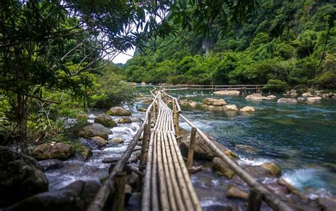 8 Best Vietnam National Parks for Wildlife Discovery