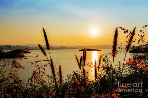 Sunset at lake Photograph by Yongkiet Jitwattanatam - Fine Art America