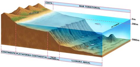 La Gran Barrera de Coral vuelve a recuperarse - A orillas del Potomac