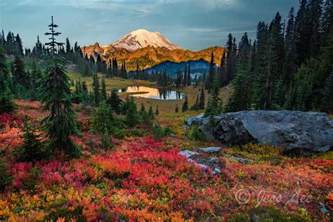 Autumn Rainbow Colors on Rainier | Mount Rainier National Park ...