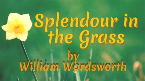 Splendour in the Grass by William Wordsworth - YouTube