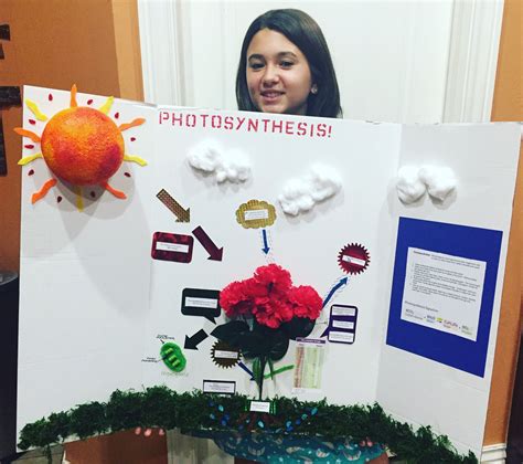 Photosynthesis Science Fair Project