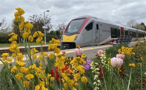 Greater Anglia rail stations are helping wildlife thanks to community ...