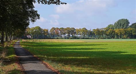 HD wallpaper: autumn landscape, shadow, emerge, colorful, avenue, lindenallee | Wallpaper Flare