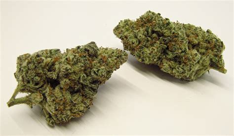 Dante's Inferno Strain Review | Westword