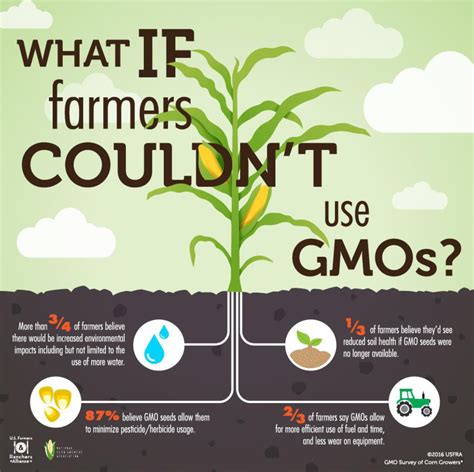 U.S. Farmers: GMO Crops Help Reduce Inputs and Enhance Conservation