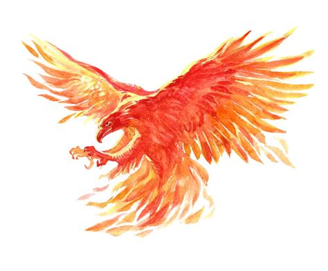 Phoenix Symbolism: 10 Spiritual Meanings of Phoenix