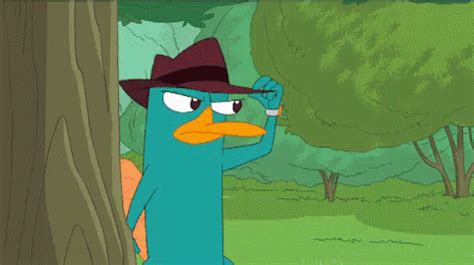 Perry The Platypus GIF - Spy Perrytheplatypus Phineasandferb GIFs | Say more with Tenor